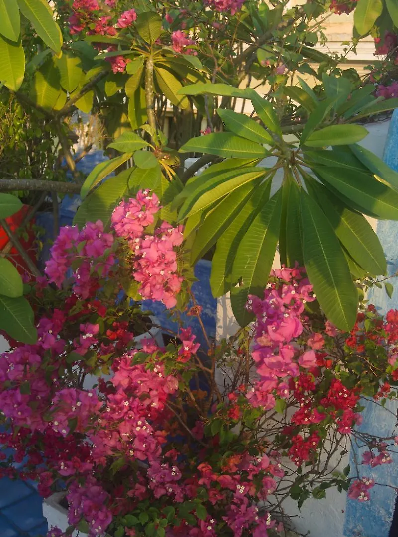 Hotel Masaya Collection La Passion Cartagena